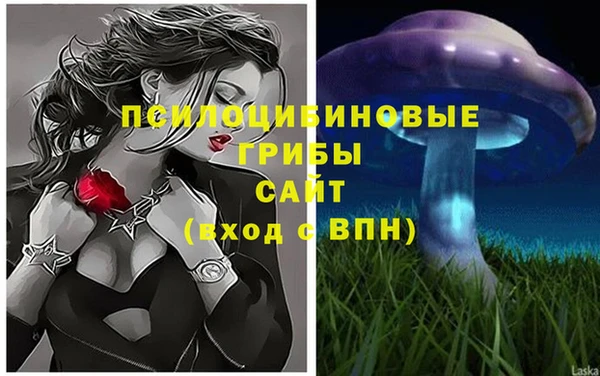 mdpv Зеленодольск
