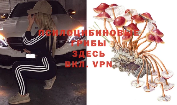 герыч Нязепетровск