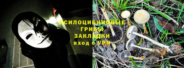 mdpv Зеленодольск