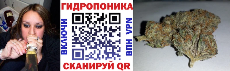 Канабис индика  Купить закладки  Зверево 
